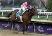 Herencia con sabor a victoria: Hijo del ganador de la Breeders’ Cup Juvenile (G1) se estrena en La Rinconada