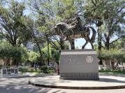 Intendencia libera plazas y parques del comercio informal en Tarija