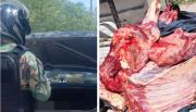 Hallaron 150 kilos de carne podrida que eran transportados sin control en Rosario de Lerma