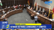 Senado sesionará este jueves para definir comisiones y comités