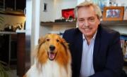 Murió Dylan, el perro de Alberto Fernández: la emocionante despedida del expresidente