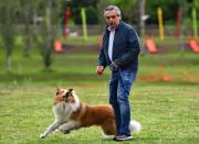 Murió Dylan, el perro que acompañó a Alberto Fernández en la Quinta de Olivos