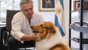 Murió Dylan, el perro de Alberto Fernández
