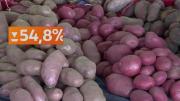 La papa al rescate del bolsillo chileno: Precios bajan hasta un 56% en la Región Metropolitana