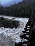 Cierre preventivo del sector Ventisquero del Parque Queulat por condiciones climáticas