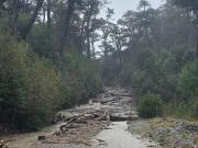 Corte total de tránsito en Ruta 7 Sur en las cercanías de Puerto Yungay
