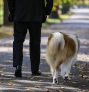 ¿Quién era el famoso perro que vivió en la Quinta de Olivos y murió esta semana?: “Con mucho dolor, te despido”
