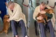 El amor más puro: tras meses internado, volvió a ver a su perro Simón y conmovió a todo Río Negro