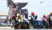 “Win and Youre In”: La Pegasus World Cup formará parte de la Serie Challenge Breeders’ Cup
