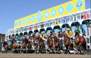¡Último minuto! Han sido canceladas las carreras del sábado en Del Mar