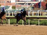 ¡Increíble! Ejemplar rescatado de un matadero metió un galope con Irad Ortiz Jr