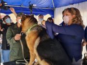 Zoonosis anuncia campaña de vacunación antirrábica este domingo en los distritos del 6 al 13 en Tarija
