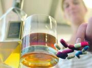 Por qué se las llama “viudas negras”: el origen del nombre y los casos más impactantes