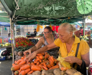 Huevos en Bs.280 y papas en Bs. 250 en la Gran Potencia Agrícola