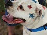 La Demolición de Washington