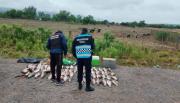 Escaparon de un control en El Galpón y los detuvieron en Lumbreras con 71 sábalos 