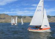 Un desafío entre montañas: el Campeonato Argentino de Vela en Altura llega al Dique La Angostura