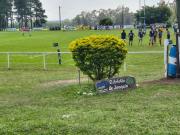 El arbolito de Joaquín: el símbolo que crece a la par de la cancha principal de Liceo RC