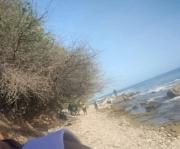 Hallaron dos extremidades humanas en Catia La Mar