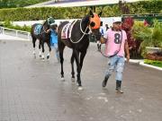 ¡Atención fanáticos! Importante retiro en la cuarta válida del 5y6 en La Rinconada