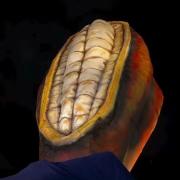 Inaugurado el Monumento al Cacao en la Av. Casanova Godoy