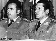 La máscara del gorila