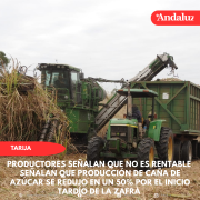 Señalan que producción de caña de azúcar se redujo en un 50% por el inicio tardío de la zafra