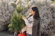 ¿Quieres un árbol de Navidad natural?: Consejos para que lleves a casa el mejor y dure toda la temporada