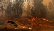 Senapred activa alerta roja por rápido avance de incendio forestal en Limache y llama a vecinos a evacuar