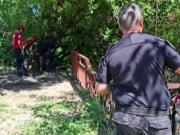 Un perro volvió a su casa con una bolsa con huesos y creen que son restos humanos: Se veía como un tatuaje