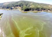 Esperan pronunciamiento de Seremi de Salud por contaminación en aguas del Lago Vichuquén