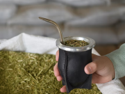 La prohibición del Gobierno al Instituto de la Yerba Mate