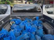 Recataron a 143 macacos en dos operativos de tráfico de fauna: estaban envueltos en bolsas azules