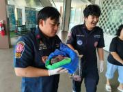 Una empleada de limpieza encontró a una bebé en un baño: estaba dentro del depósito de agua