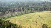 Informe: la Amazonía está en un punto crítico de degradación