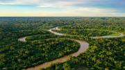 Greenpeace exige cuatro acciones urgentes en la COP30 para salvar la Amazonía