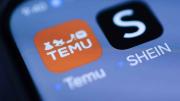 Shein, Temu y tiendas online: cuál es el monto máximo por envío y cuánto podés comprar sin pagar impuestos