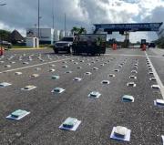 Incautan centenar de panelas de presunta marihuana en Falcón