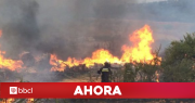 Incendio forestal sin control azota a Alto Bío Bío: reportan 160 hectáreas arrasadas