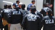 La DEA no reduce coca: especialistas temen mayor represión y crecimiento del narcotráfico