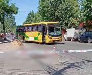 Linares: atropello con resultado de muerte en inmediaciones del Terminal de Buses