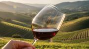 ¿Cuál es la mejor viña del mundo? Chilenas lideran en dos rankings