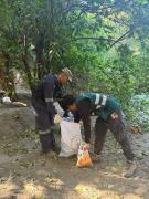 SAG Tarapacá Concluye Exitosamente Campaña De Erradicación De La Mosca De La Fruta En Pica