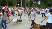El INTT celebra su 24º aniversario con caminata 2K junto a las mascotas en La Guaira