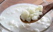 Lo llaman Oro blanco: el superalimento que equilibra tu microbiota y fortalece tu salud