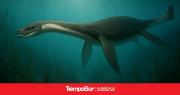 Hallan en Patagonia restos de un mini-elasmosaurio del Cretácico Tardío