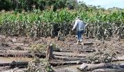 Yapacaní registra pérdidas millonarias por inundación y alistan declaratoria de desastre