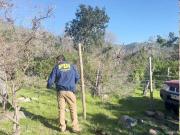 Nuevo robo en los campos de Ovalle: uno tras otro con descaro