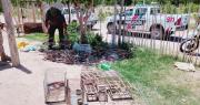 Cayó banda dedicada a vender aves autóctonas en Sarmiento: rescataron 36 animales entre jaulas y trampas