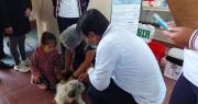 Cochabamba se prepara para la vacunación antirrábica masiva este 22 y 23 de noviembre